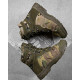 Тактичні черевики ALPINE CROWN MILITARY PHANTOM мультикам ВТ0999