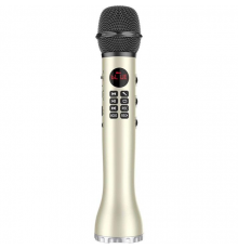 Беспроводной микрофон караоке MicMagic L-598 9 Вт