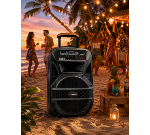 Портативна колонка BT 115 / Портативна колонка Su-Kam BT115D / Bluetooth, USB, FM акустична система караоке-система за 9354 грн