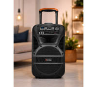 Портативна колонка BT 115 / Портативна колонка Su-Kam BT115D / Bluetooth, USB, FM акустична система караоке-система