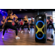 Портативная акустика ZXX-5580 / Колонка с Bluetooth для караоке с микрофонами / Аккумуляторная колонка с RGB-подсветкой FM и TWS