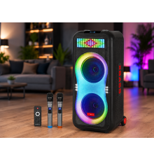 Портативная акустика ZXX-1510 / Караоке колонка 100Вт / Переносная акустическая колонка с LED подсветкой + 2 микрофона / Двойная 10-дюймовая акустическая переносная колонка