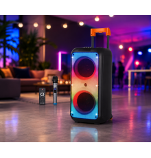Портативная акустика ZXX-1095 80Вт / Колонка 2×8дюйма Bluetooth/USB/TF/AUX, FM, LED / Переносная музыкальная колонка с микрофоном для караоке