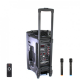 Портативная колонка Su-Kam BT 150D + 2 микрофона 12v220v