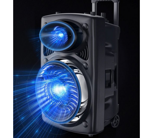 Портативная колонка Su-Kam BT 150D + 2 микрофона 12v220v