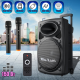 Портативная колонка Su-Kam BT 150D + 2 микрофона 12v220v
