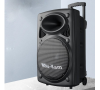 Портативная колонка Su-Kam BT 150D + 2 микрофона 12v220v