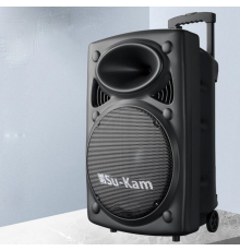Портативная колонка Su-Kam BT 150D + 2 микрофона 12v220v