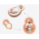 Дитяча подушка baby sleep positioner Подушка для немовлят Подушка-позиціонер для новонароджених