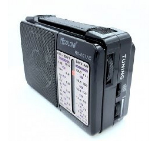Радиоприемник аккумуляторный Golon RX-607 AC Black