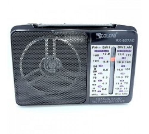 Радиоприемник аккумуляторный Golon RX-607 AC Black