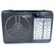 Радиоприемник аккумуляторный Golon RX-607 AC Black