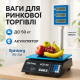 Весы для склада Rainberg RB-304 50кг, Весы торговые для бизнеса торговые электрические RF-81