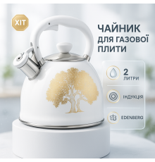 Хороший чайник для газової плити, Чайник для приготування чаю зі свистком газовий красивий QO-65
