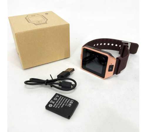Смарт-годинник Smart Watch DZ09. Колір: золотий OF-39 за 587 грн