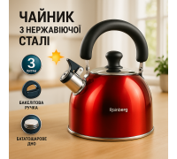 Кухонный чайник с ручкой и свистком Rainberg, Функциональный чайник из стали со свистком WP-98