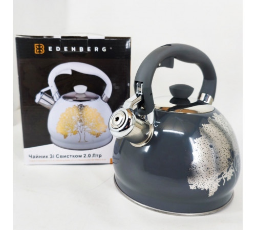 Чайник с одинарным дном Edenberg EB-1956 2л, Чайник со свистком нержавеющая сталь FU-56