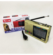 Радио портативное переносное MP3 USB Golon RX-6622, Радиоприемник широкого диапазона IN-49
