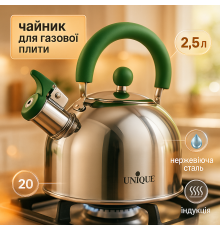 Чайник для домашнего использования со свистком Unique, Чайник нержавейка со свистком бытовой SJ-89
