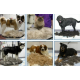 Фурминатор c кнопкой для маленьких длинношерстных собак FURminator short Hair Small Dog 4.5 см