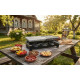 Приготування на грилі Cheese Grill Machine R.5425 RAF / Електрогриль відкритий з антипригарним покриттям Електричний гриль 1500 Вт
