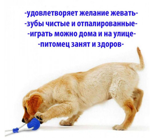 Многофункциональная игрушка для собак канат на присоске с мячом
