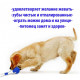 Многофункциональная игрушка для собак канат на присоске с мячом