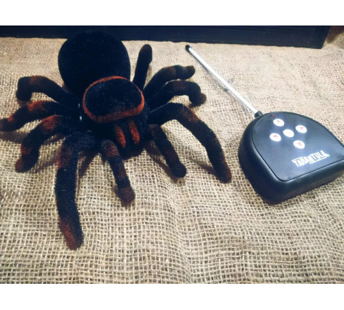 Павук Тарантул на радіоуправлінні з очима 30 см Cute Sunlight 871 Tarantula