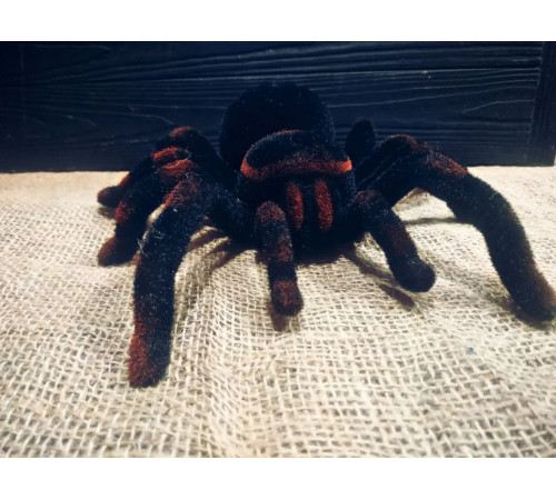 Павук Тарантул на радіоуправлінні з очима 30 см Cute Sunlight 871 Tarantula