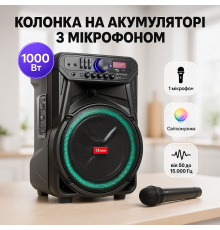Портативная колонка SS-7272 акустическая система с караоке аккумуляторная + USB/SD/TF/Bluetooth/TWS WT-62