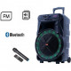 Портативна колонка SS-7272 акустична система з караоке акумуляторна + USB/SD/TF/Bluetooth/TWS WT-62 за 8006 грн
