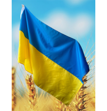 Флаг Украины 3 на 2