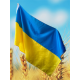 Флаг Украины 3 на 2