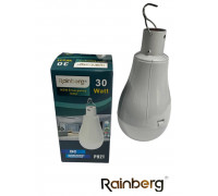 Акумуляторна LED лампочка Е27 30W аварійного освітлення 6500К