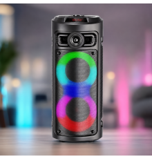Колонка KTS-2430 Bluetooth / Акустична система з двома 4дюймовими динаміками та бездротовим мікрофоном / Караоке-колонка
