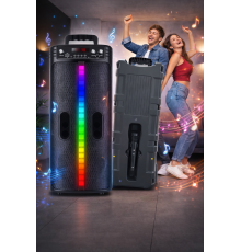 Портативная беспроводная Bluetooth колонка-караоке TTD-2806 RGB-подсветка, микрофон, пульт ДУ