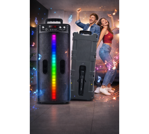 Портативная беспроводная Bluetooth колонка-караоке TTD-2806 RGB-подсветка, микрофон, пульт ДУ