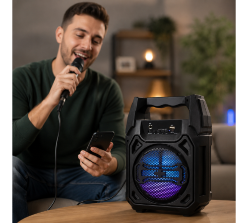 Колонка Bluetooth з динаміком на 6,5 дюйма / Акустика дротовим мікрофоном GTS-1283 30 см