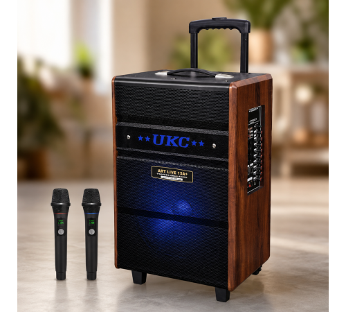 Портативная колонка Live 15 / Караоке-колонка + 2 микрофона / Аккустика с Bluetooth, USB-порт, слот для карт памяти SD, FM-радио