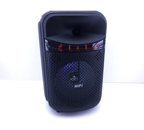 Музыкальная колонка-радио колонка с подсвидетельством BLUETOOTH RX-8188 1200 ВТ с микрофоном