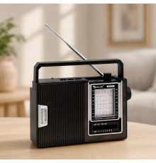 Радіоприймач GOLON RX-251 / Портативний радіоприймач з Bluetooth