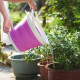 Складане силіконове відро 5л Collapsible Bucket за 237 грн