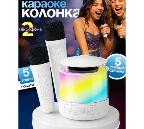 Портативная Bluetooth колонка K19 с подсветкой LED и двумя микрофонами для караоке White PJ-15