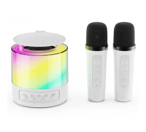 Портативная Bluetooth колонка K19 с подсветкой LED и двумя микрофонами для караоке White PJ-15
