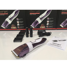 Профессиональная аккумуляторная машинка для стрижки Gemei GEMEI GM 6062 (40 шт)