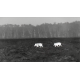 Тепловизор монокуляр ATN ODIN 320, 35mm Thermal Viewer 4-8х TIMNODN335X